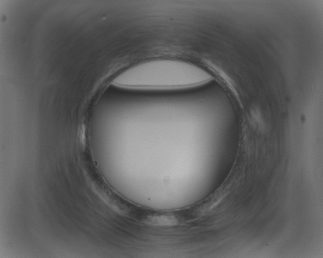 X0000081590067200701151036
