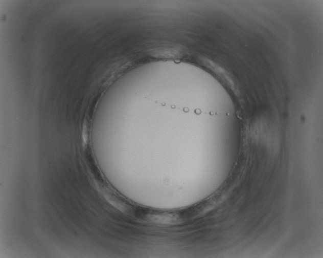 X0000081590069200701151036