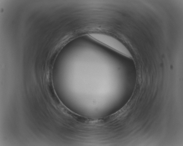 X0000081590072200701151037