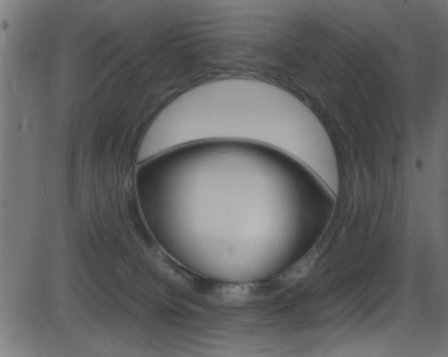 X0000081590084200701151037