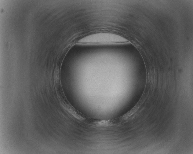 X0000081590092200701151037