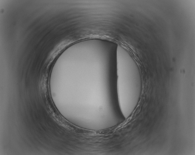 X0000081590098200701151036