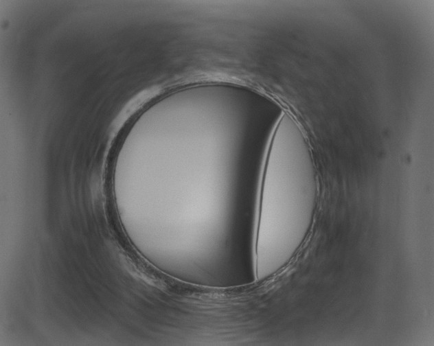 X0000081590104200701151036