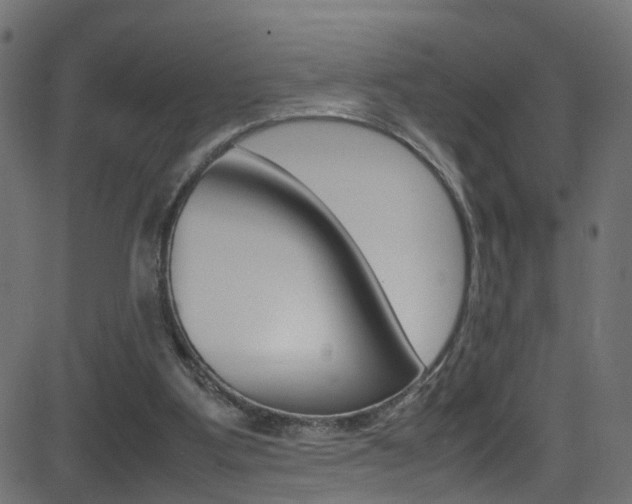 X0000081590107200701151036