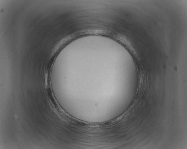 X0000081590110200701151036