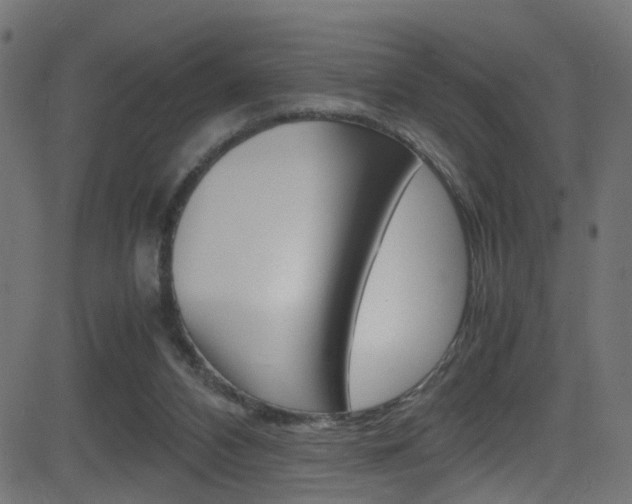 X0000081590112200701151036