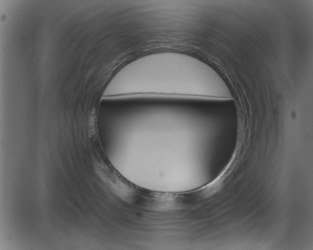 X0000081590144200701151035
