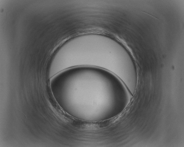 X0000081590154200701151035