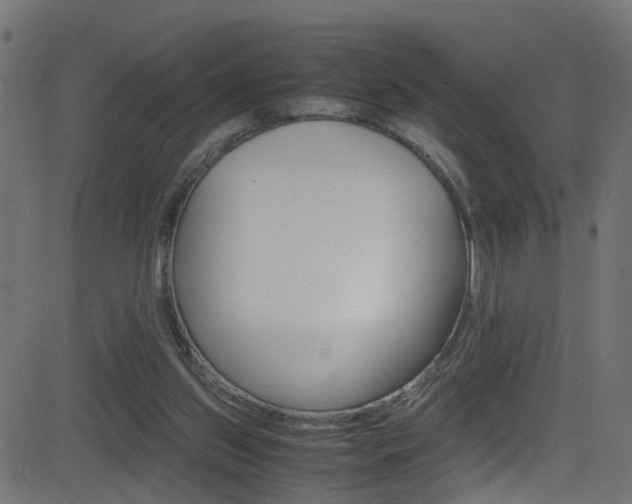 X0000081590157200701151035
