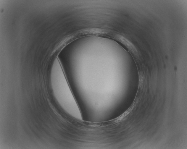 X0000081590158200701151035