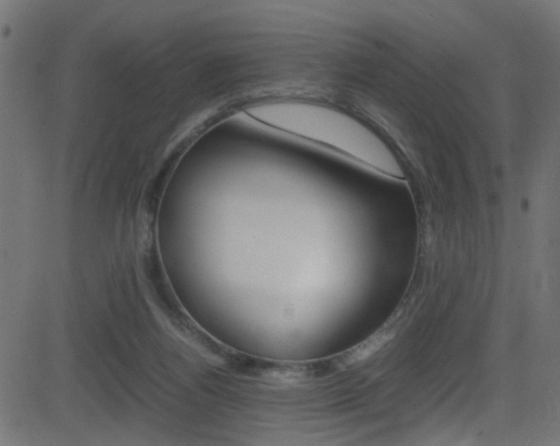 X0000081590164200701151035