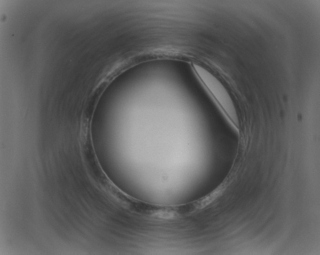X0000081590168200701151035