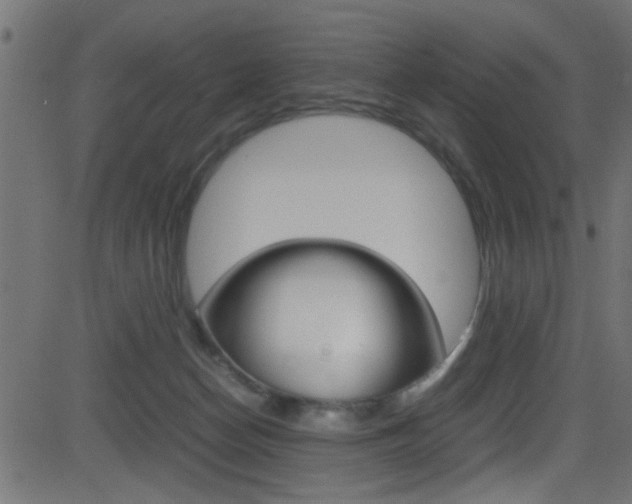 X0000081590174200701151035
