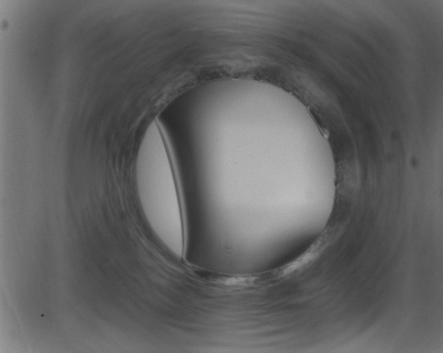 X0000081590184200701151035