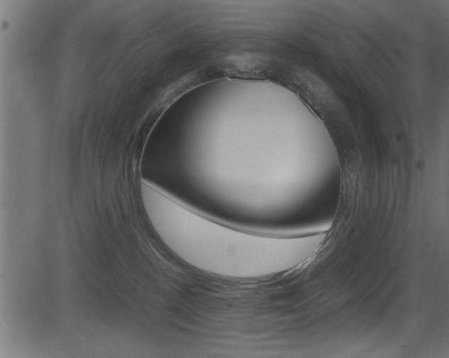 X0000081590188200701151035