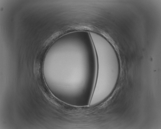 X0000081590201200701151034