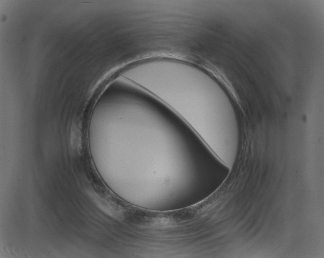 X0000081590204200701151034