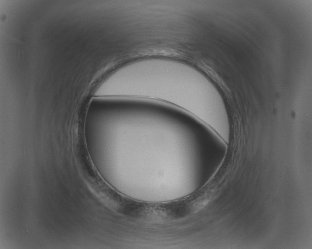 X0000081590207200701151034