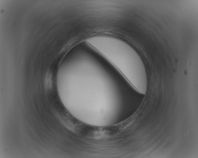 X0000081590216200701151034