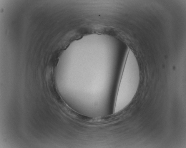 X0000081590225200701151034