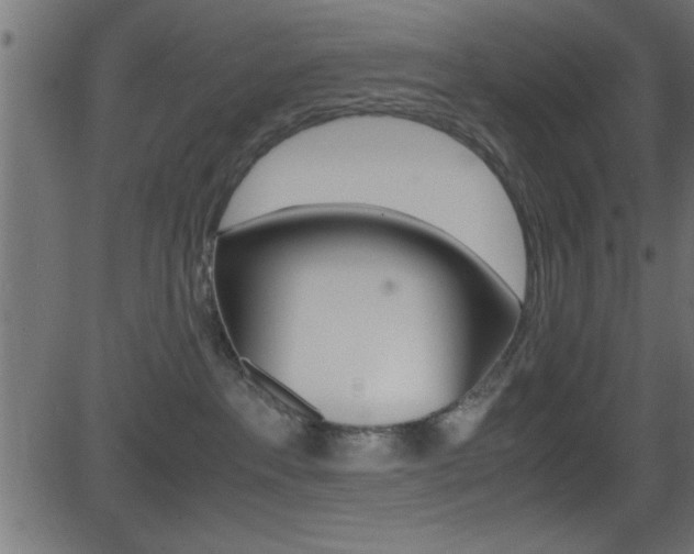 X0000081590237200701151034