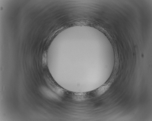 X0000081590240200701151034