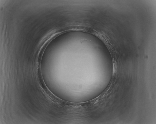 X0000081590243200701151033