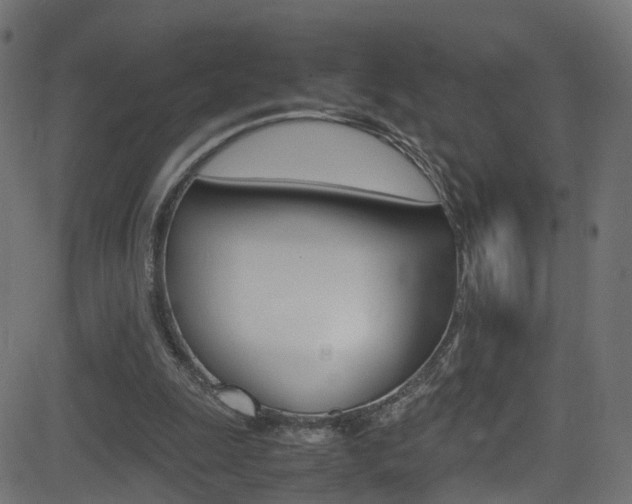 X0000081590247200701151033
