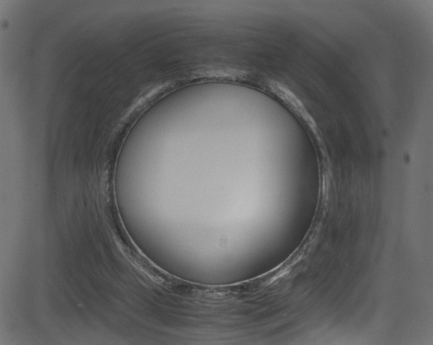 X0000081590249200701151033
