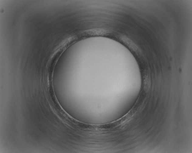 X0000081590254200701151033