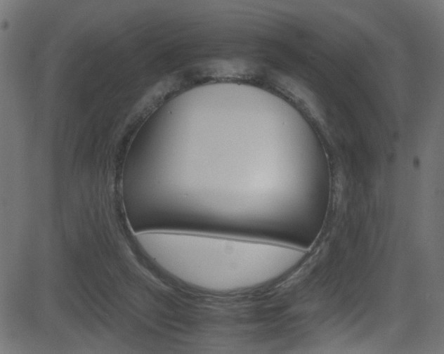 X0000081590257200701151033