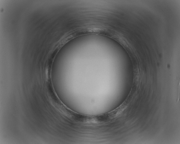 X0000081590262200701151033