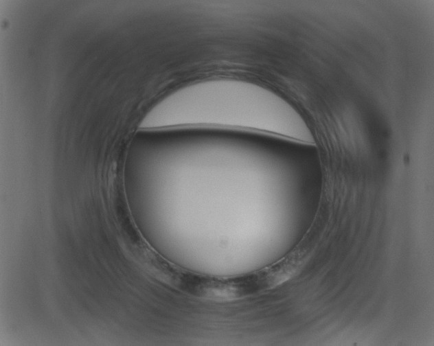 X0000081590263200701151033