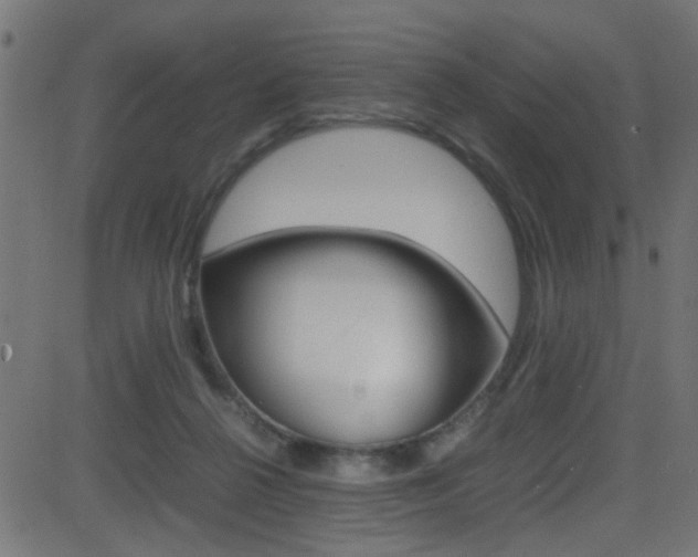X0000081590264200701151033