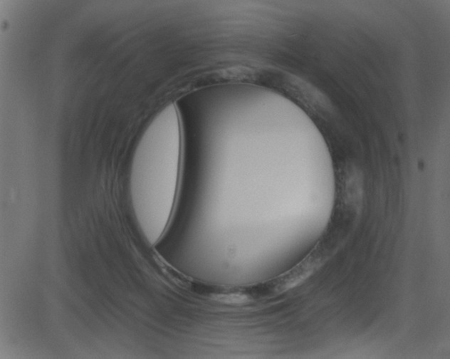X0000081590266200701151033