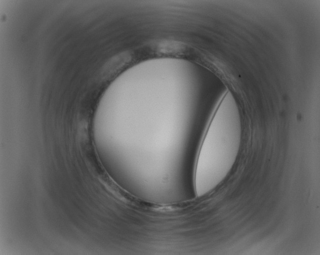 X0000081590269200701151033