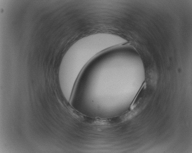 X0000081590280200701151034