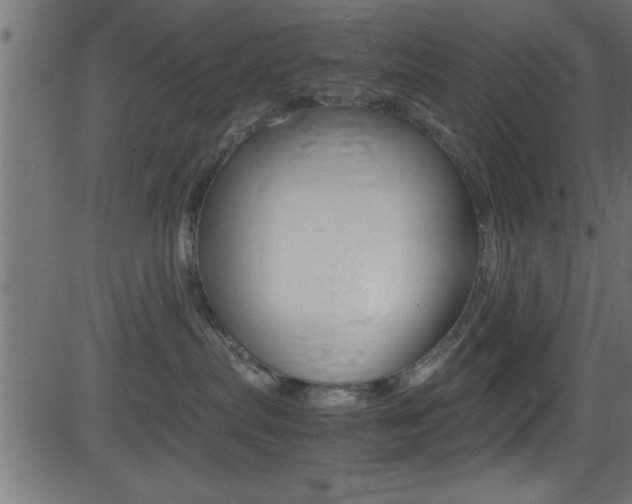 X0000081590287200701151034