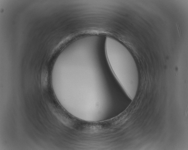 X0000081590304200701151033