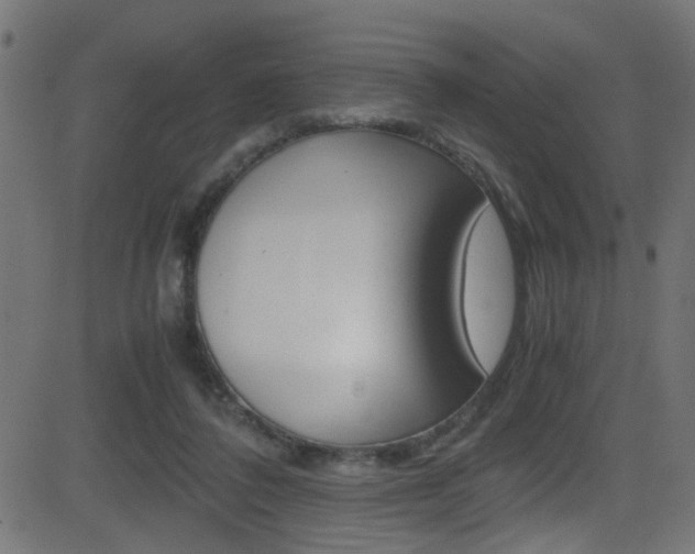 X0000081590308200701151033