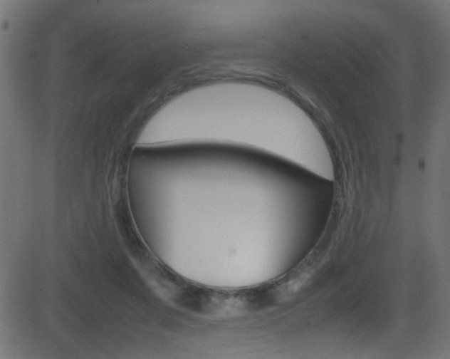 X0000081590311200701151033