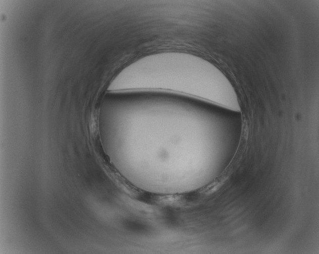 X0000081590335200701151032