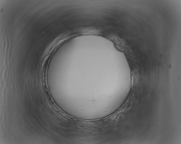 X0000081590339200701151031