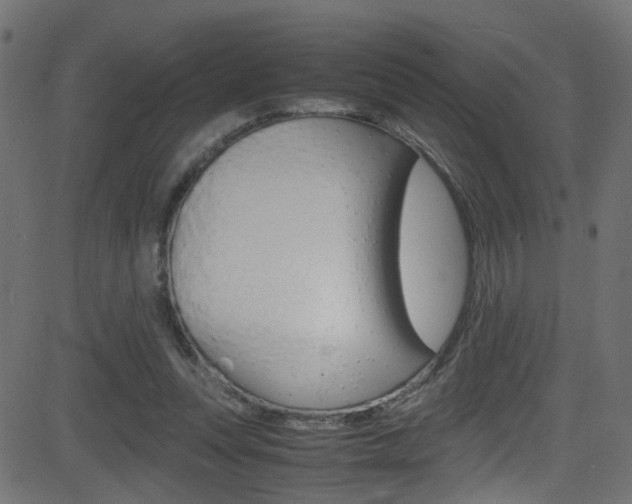 X0000081590351200701151032