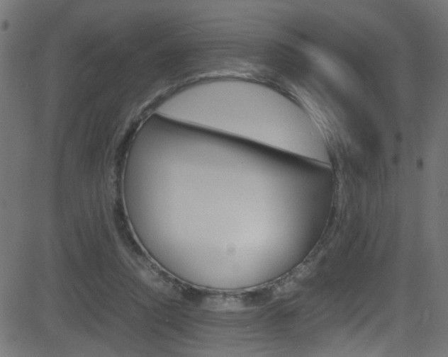 X0000081590354200701151032