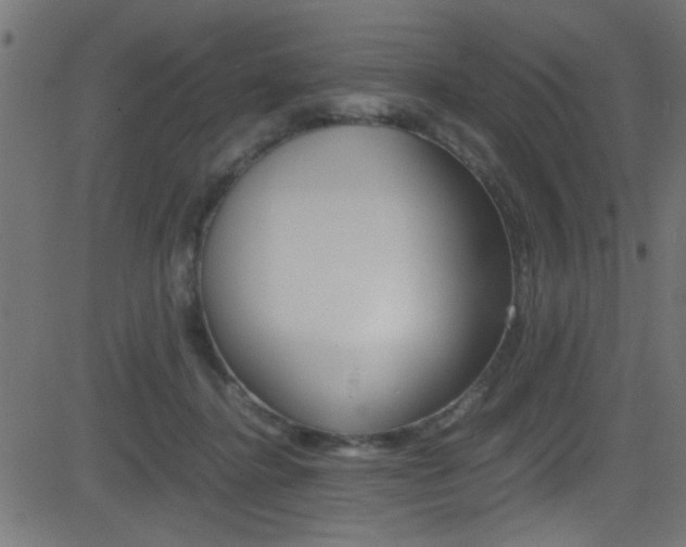 X0000081590364200701151032