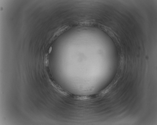 X0000081590383200701151032