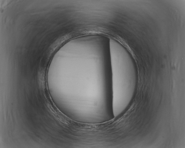 X0000081590386200701151031
