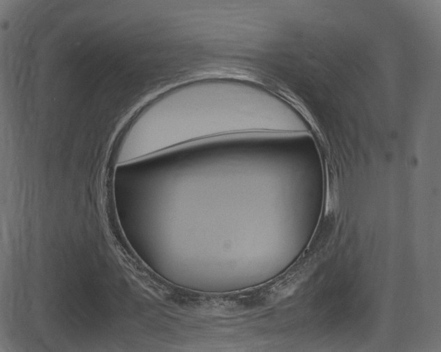 X0000081590387200701151031