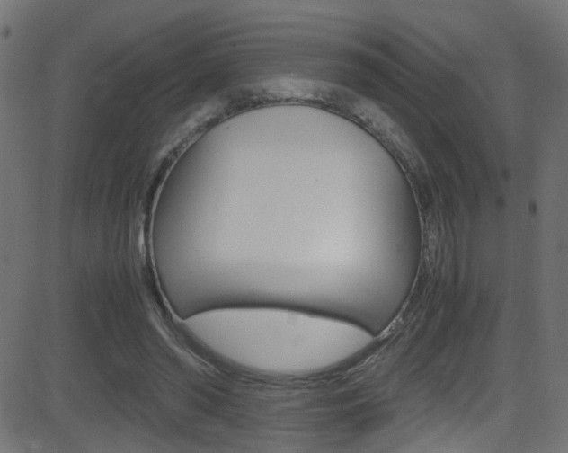 X0000081590398200701151031